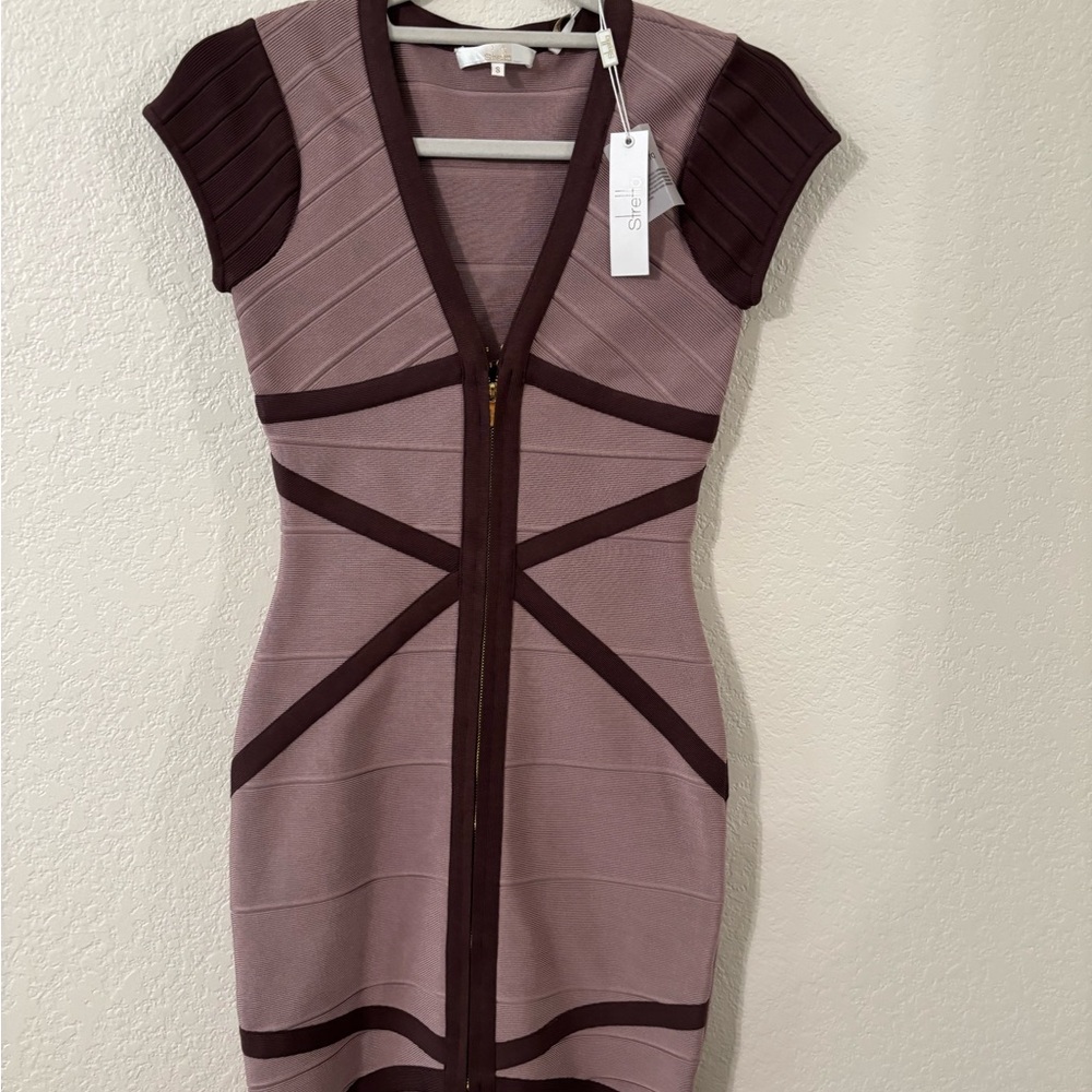 Herve Leger Mauve and Brown Mini Dress
